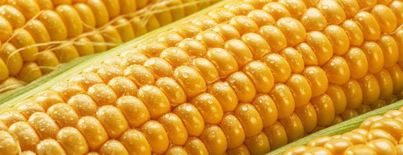 gratuitous corn