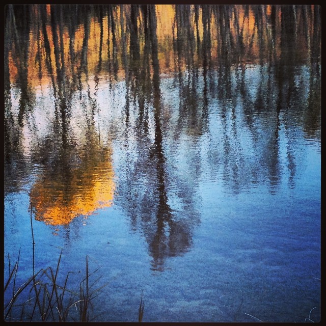 Lovely reflection on a pond. Mono Cliffs. Photo by bdot.