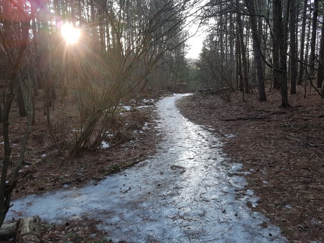 Icy trails