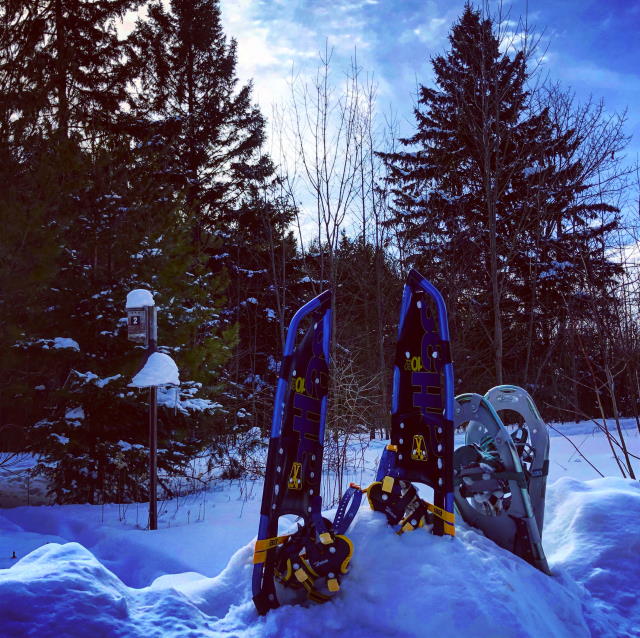 Snowshoeing in Cold Creek