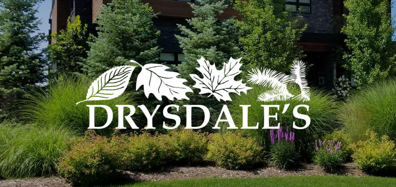 Drysdales