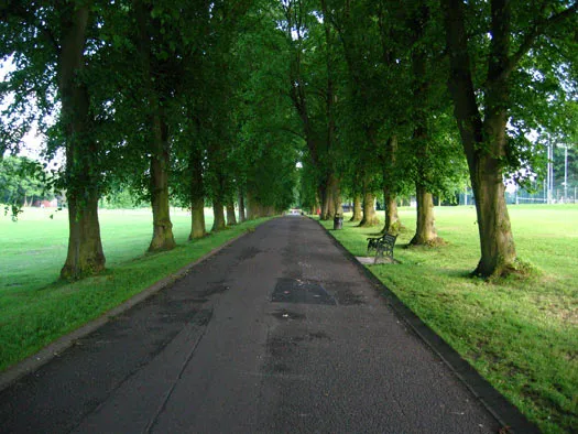 Tree lined walkway in Lurgan Park