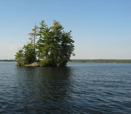 One of many islands, in one of many lakes in lovely Ontario