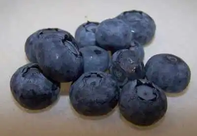 Yaaaaye! Blueberries!
