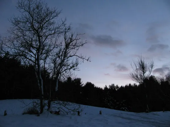 Capture from Palgrave Forest (notice the stars!)