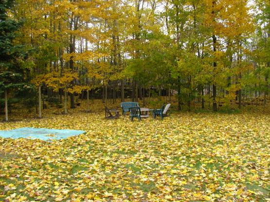 Hours of fun raking leaves. And again tomorrow! and the day after that….