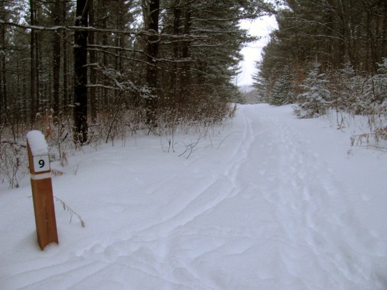 Snowshoeing!