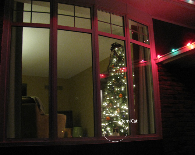 Outside view of the Christmas tree