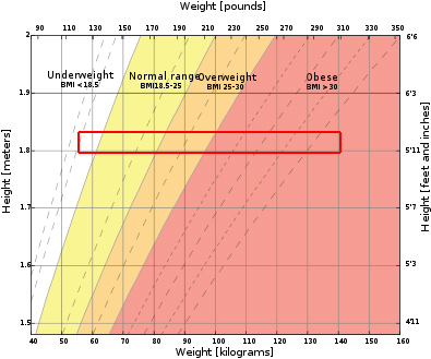 Body Mass Index