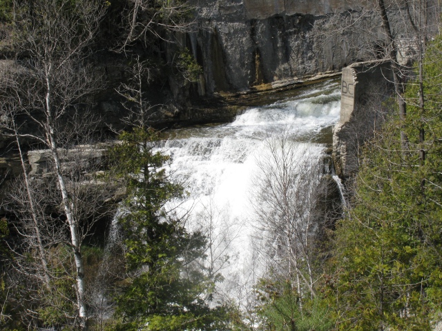 Made it to the Forks of Credit Falls!