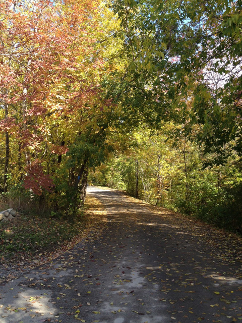 The road into the Mill - Our wedding venue