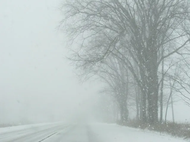 Whiteout. Yikes.