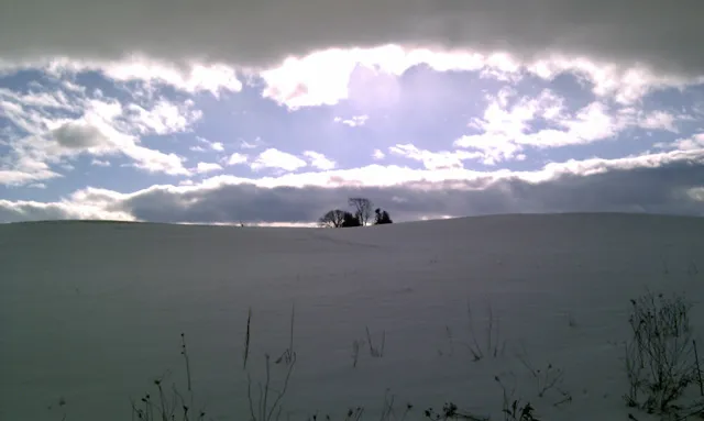 Along the Humber Valley Heritage Trial