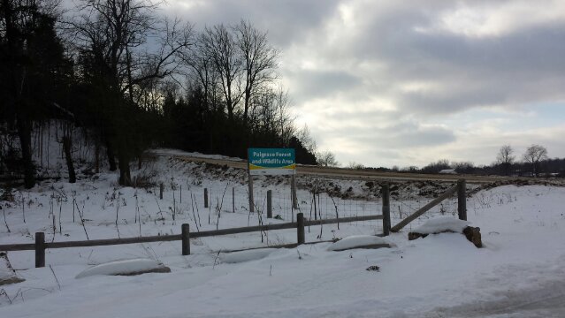 Palgrave's new entrance