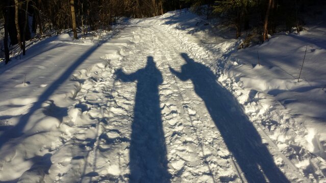 Ski shadows