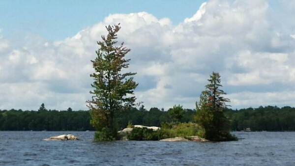Islands in Jack Lake