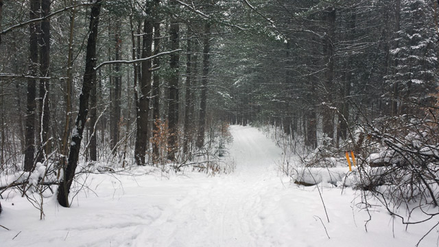 More skiing!