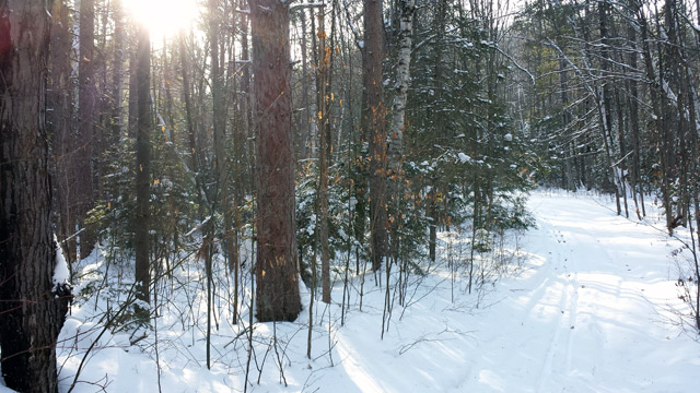 Lovely Winter in Ontario