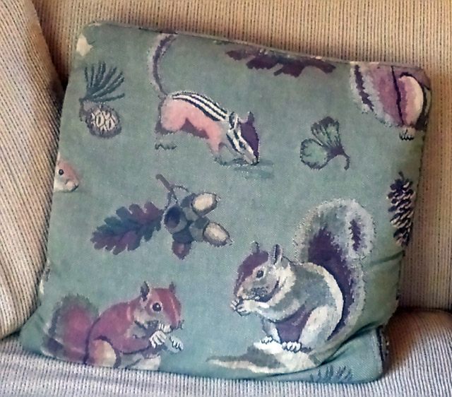The Legendary Squirrel Pillow