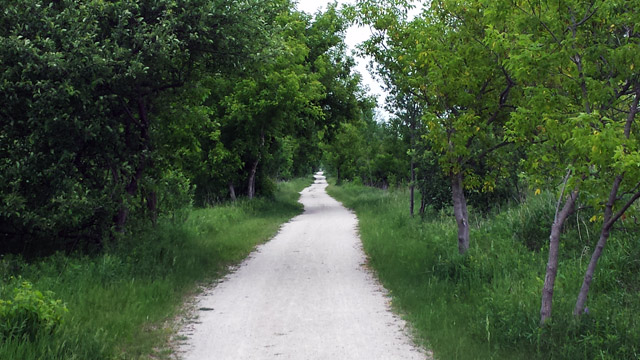 TransCanada Trail near Mount Pleasant Road