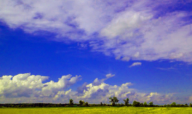 Driving toward East Caledon