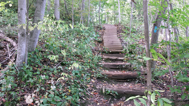 More stairs.