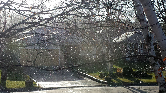 Not rain. Snow flakes on a sunny morning.