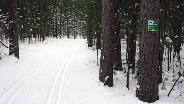 One of the trails at Wasaga Nordic Centre