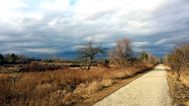 Nice open field and unhappy grey clouds that made me walk faster.