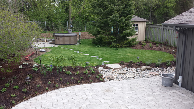 Backyard -after- the plantings