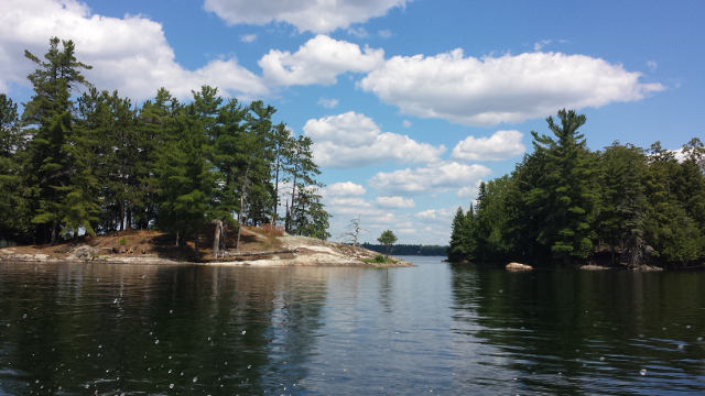 One of the many islands in Jake Lake