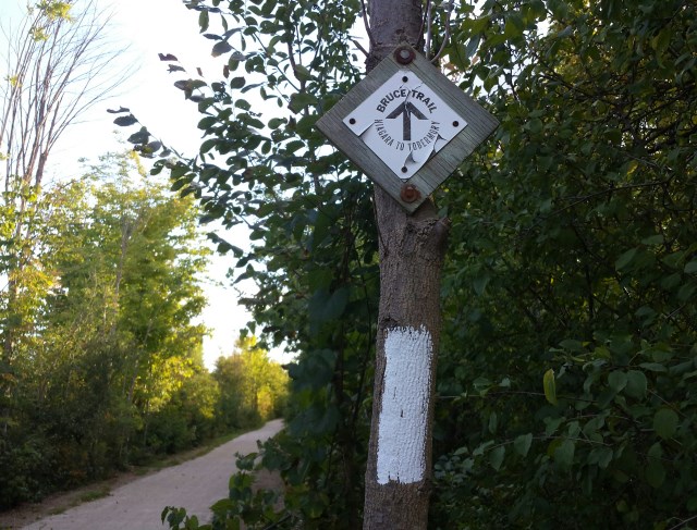 Heading South on the TransCanada Trail/Caledon Trail it turns into the Bruce Trail when it hits Heritage Road