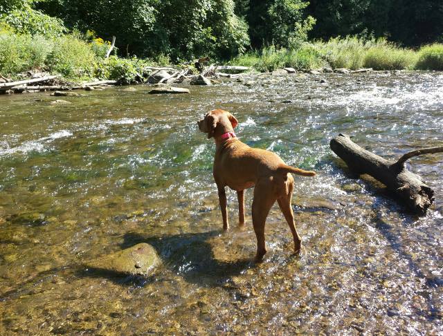 Tanga cooling off