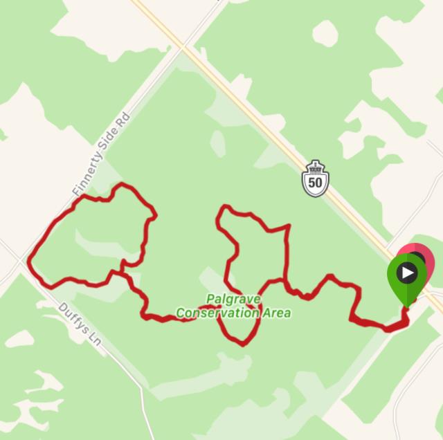 Palgrave Loop