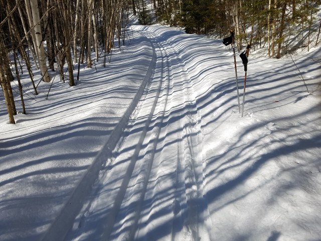 Setting the trail