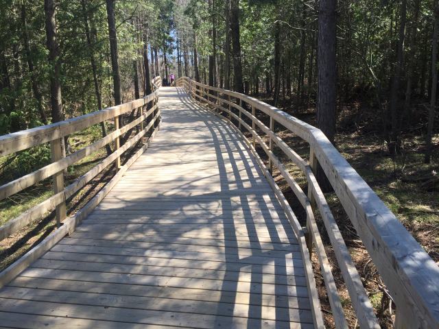 One of the many boardwalk