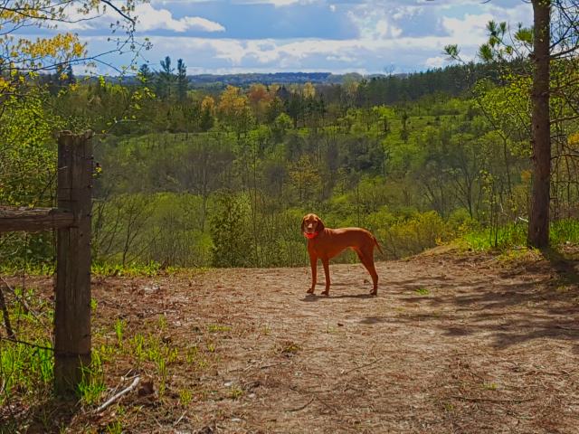 One of the great vistas along the trail. Tanga…. STAY!