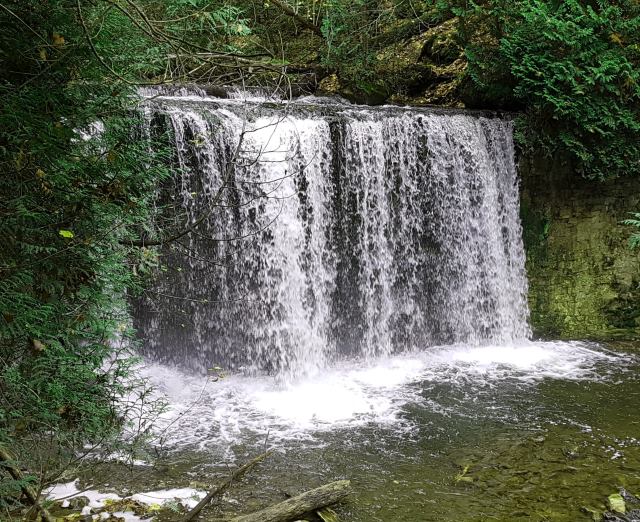 Hogg’s Falls