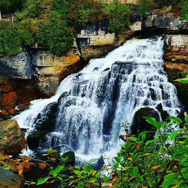 Inglis Falls!