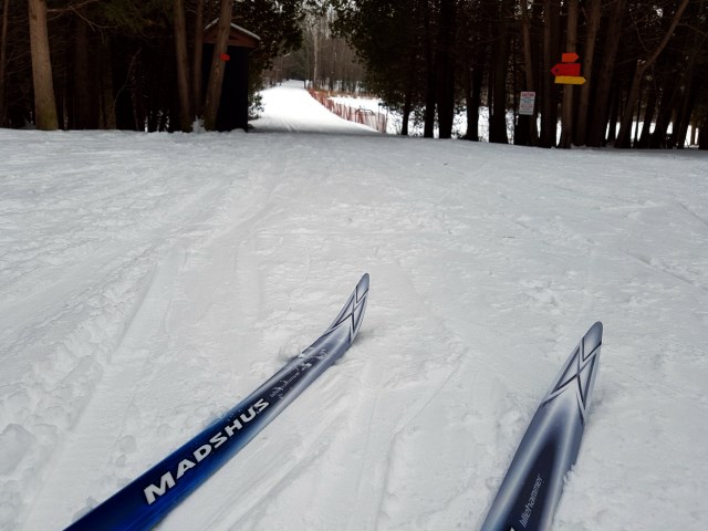Mono ski