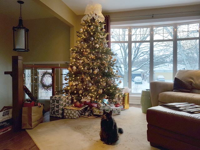 The Upstairs Christmas Tree
