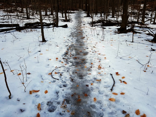 Icy trail
