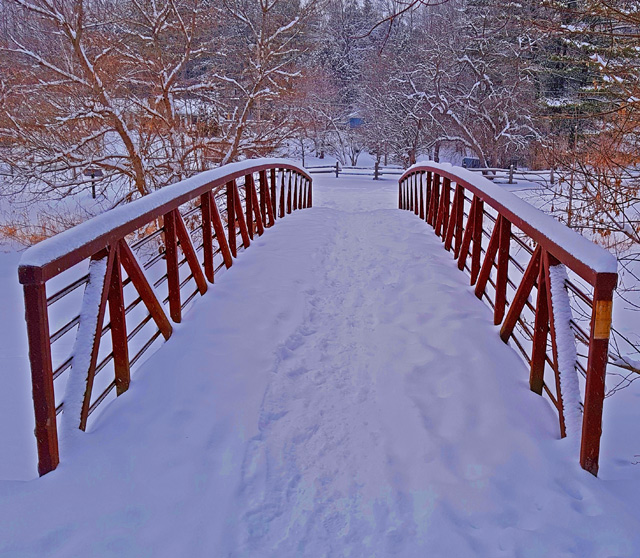 The bridge we cross all the time when we walk the dog