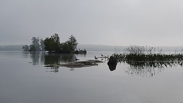 Spooky. No not the seagulls…