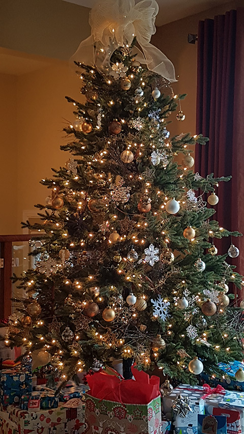 2018 Christmas Tree