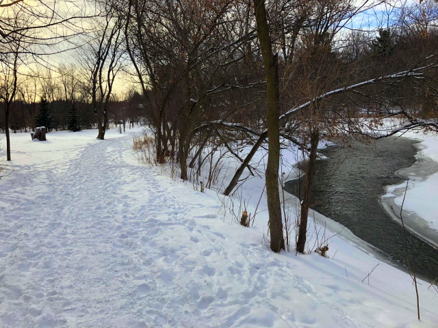 The local trail along the Humber River