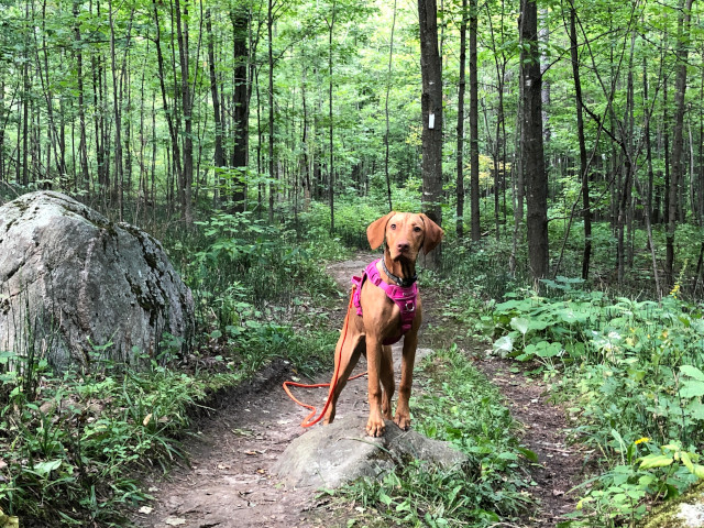 Nado hike