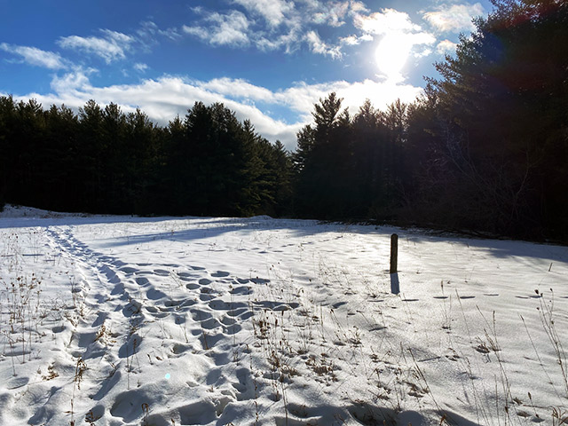 Lovely day for a Winter hike