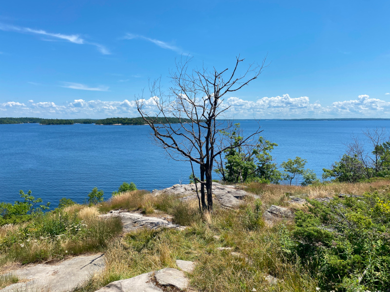 Lookout Point