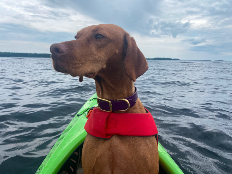 First mate wasn't too sure about Georgian Bay